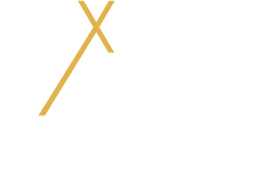 Nextstars Agency logo